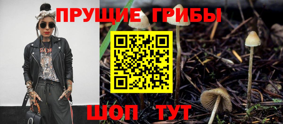 Псилоцибиновые грибы MAGIC MUSHROOMS Благовещенск