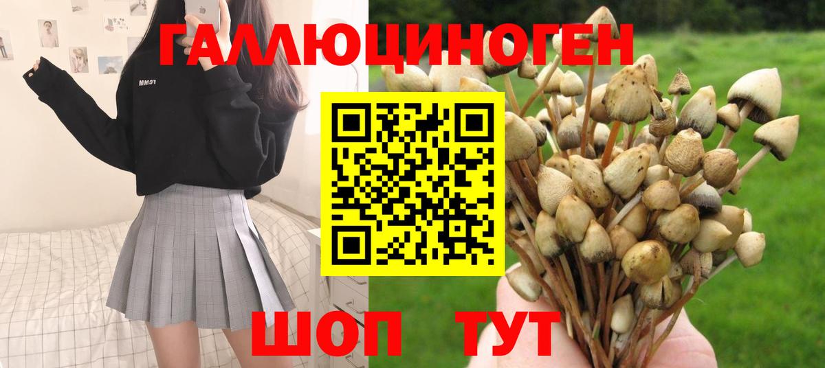 Благовещенск  Псилоцибиновые грибы Magic Shrooms  Галлюциногенные грибы Psilocybine cubensis  Вход с VPN 